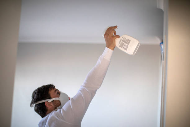 Best Home Mold Removal  in Minnetonka, MN