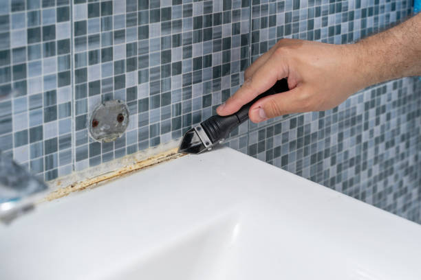 Best Local Mold Removal Service  in Minnetonka, MN